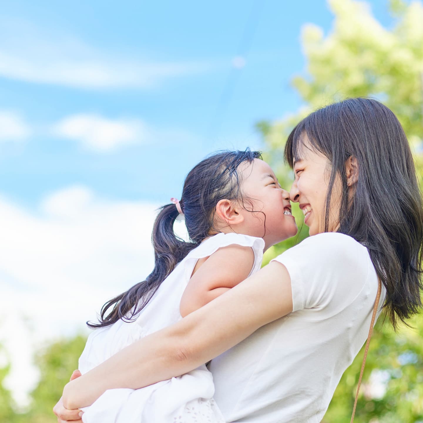 ライズコーポレーションはマキシオンの正規代理店です
